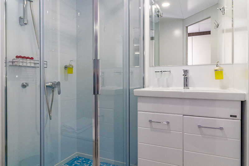 MS Konstantin Fedin deluxe middle deck cabin bathroom