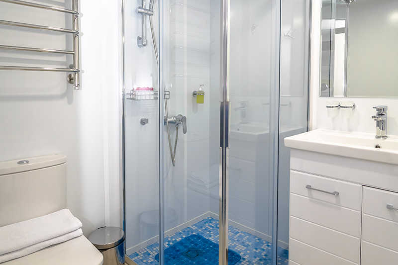 MS Konstantin Fedin cabin bathroom