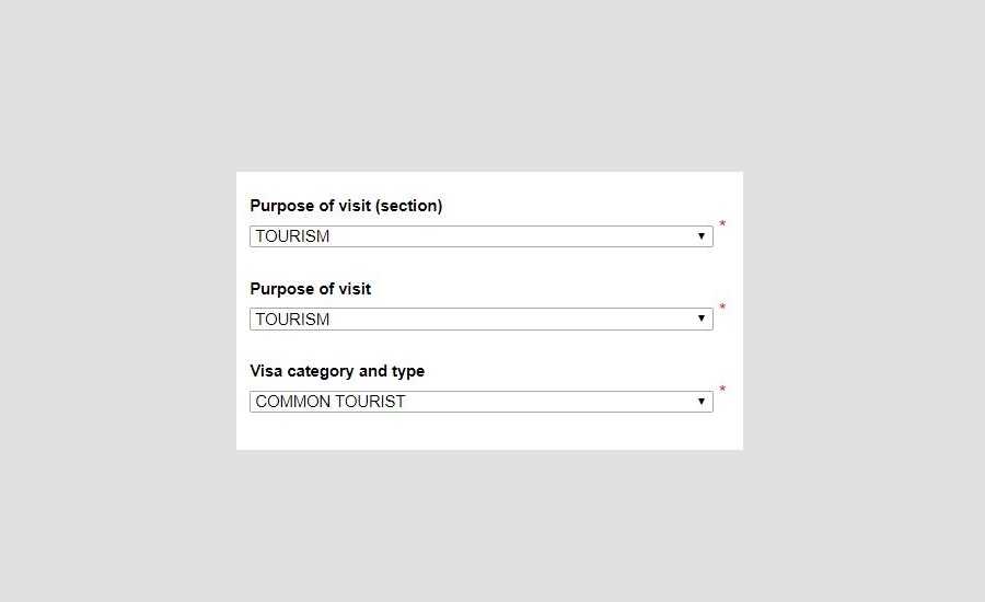 How to Fill In Your Russian Visa Application - Purpose of Visit