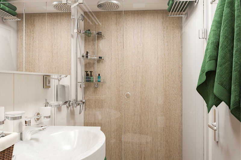 MS Mustai Karim deluxe cabin bathroom