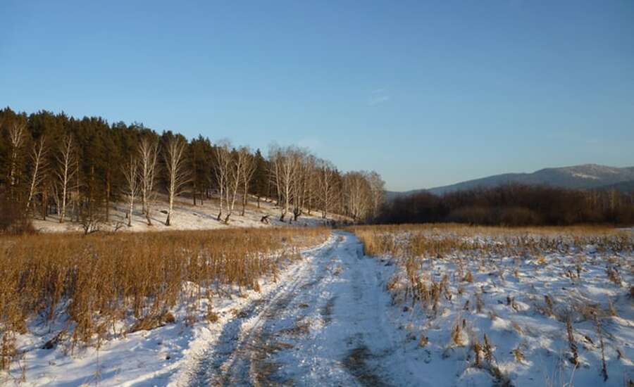 Russian Winter and Banya!