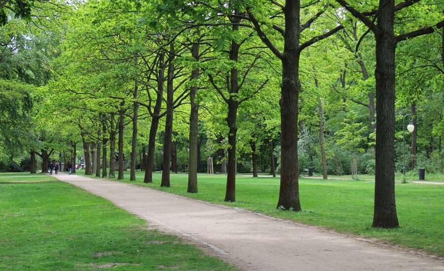 Loga Park in Rostov-on-Don