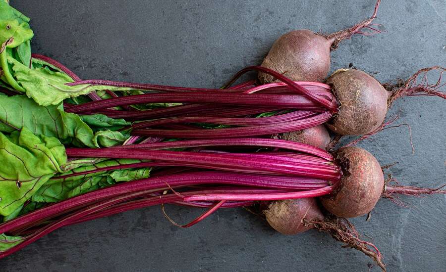 Borsch: A Definitive History and a Russian Recipe