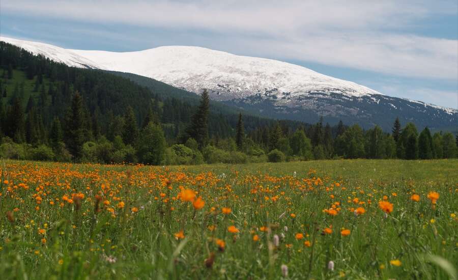 Siberian Federal District - Altai Republic