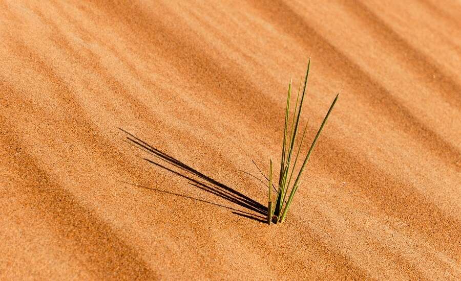 Chara Sands, Russia