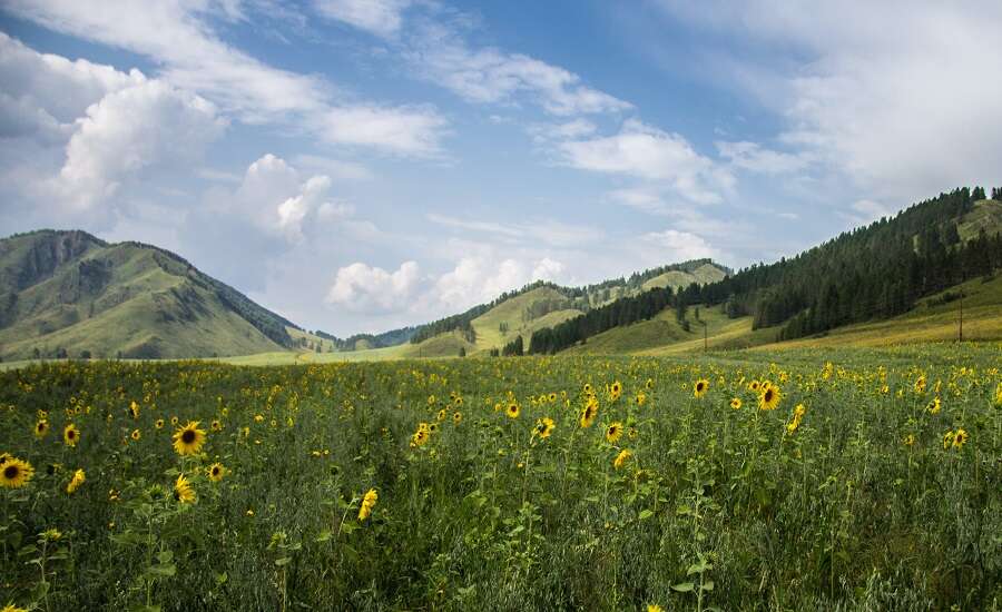 Altay Mountains, Russia