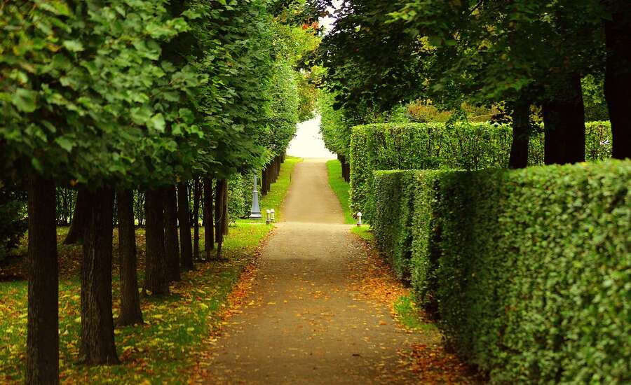 Peterhof park