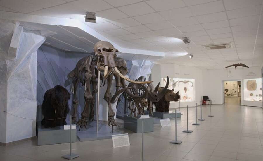 Novosibirsk State Museum of Local History and Nature