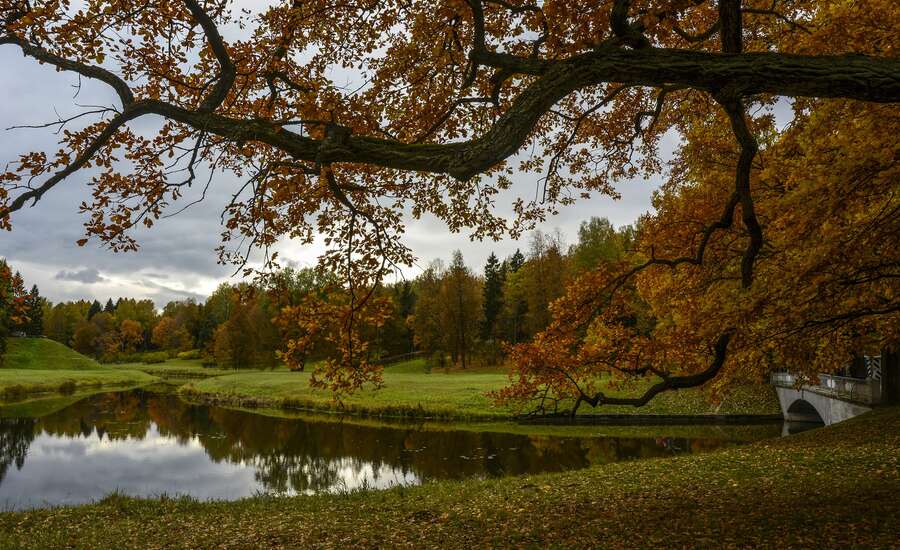 Pavlovsk park