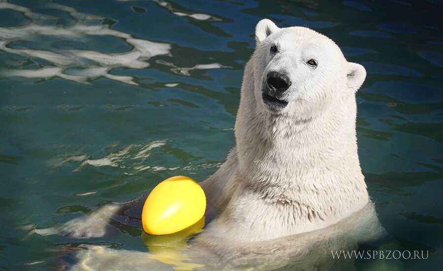 Leningrad Zoo, St Petersburg