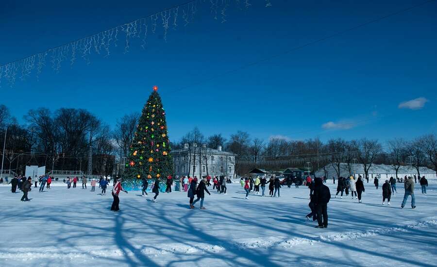 Yelagin Island  winter
