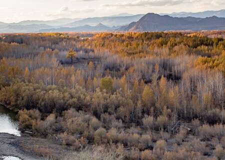 Russian landscape