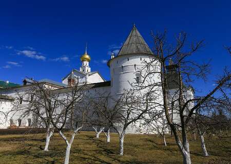 Kremlin, Rostov-On-Don, Russia
Photo by Kir Shu on Unsplash